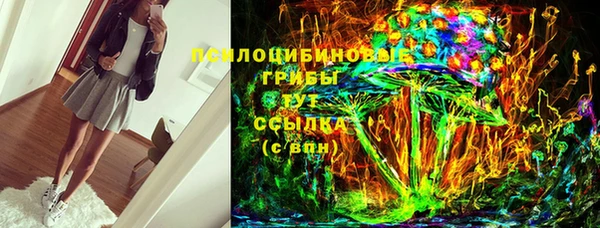 прущий лед Пересвет