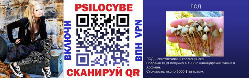Галлюциногенные грибы Psilocybe Котельники